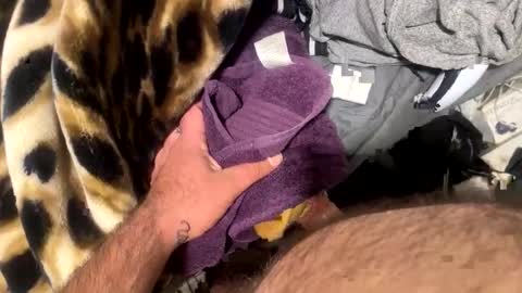 ehdgher online show from January 6, 10:30 am