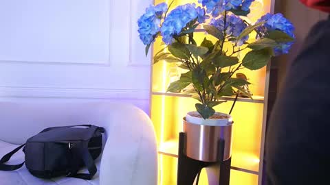 Elasummeer online show from January 13, 11:51 am