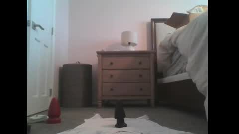 Will Randy online show from November 28, 6:59 pm