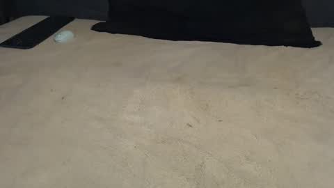 elgsslt online show from March 17, 12:21 pm