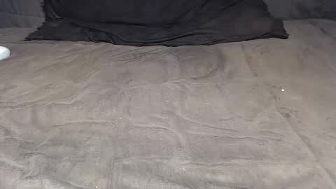 elgsslt online show from April 2, 1:51 pm