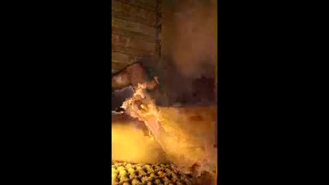 eliotta321 online show from February 7, 10:46 pm