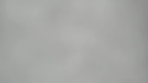 Elis online show from February 25, 8:40 am