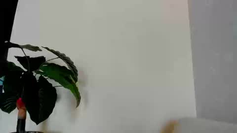 Snapshot of eliza_sanz chatting on September 8, 9:25 pm My name is ElizaPVT is open online show from September 8, 9:25 pm