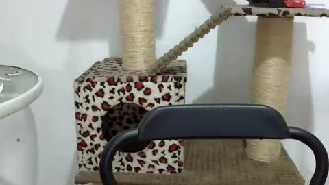 Elizabeth Martinez  online show from October 1, 3:11 pm