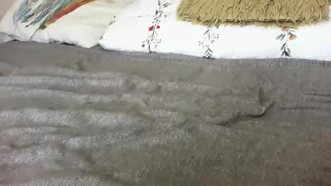 elyseblue online show from November 26, 11:29 am