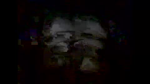 emecuatro20 online show from January 9, 3:47 am