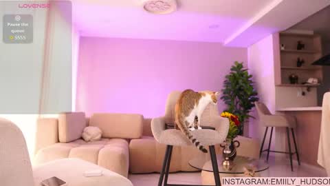 independet model online show from May 17, 7:12 pm