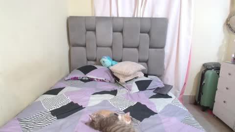 emily online show from February 13, 2:34 am