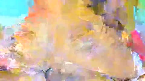 Please me online show from February 12, 2:26 am