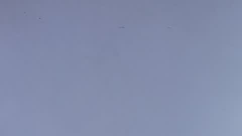 Estrella online show from October 1, 12:04 pm