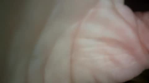 Snapshot of ethereumumm chatting on October 31, 6:30 pm ethereumumm online show from October 31, 6:30 pm