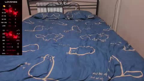 Eva online show from November 14, 1:46 pm