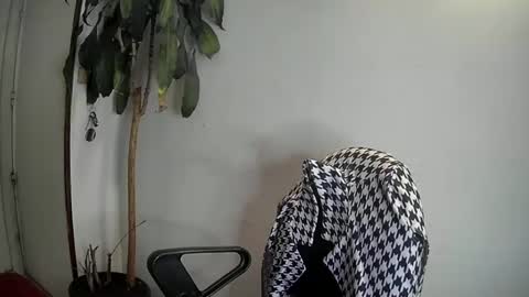evacollins12 online show from January 7, 3:46 am