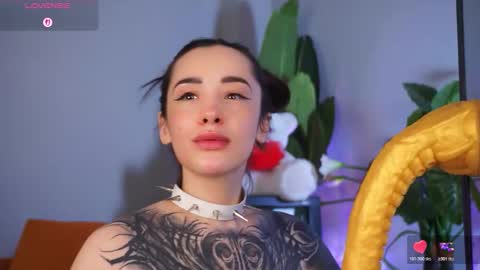 Eva online show from February 5, 2:15 am