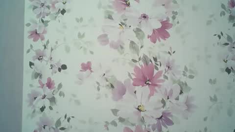 Evelina online show from April 6, 1:01 pm