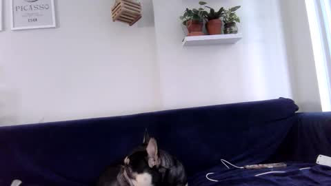 Badblondebunny online show from November 12, 9:39 pm