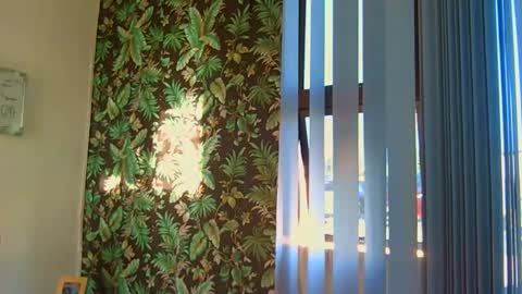 courtney online show from April 3, 6:09 am