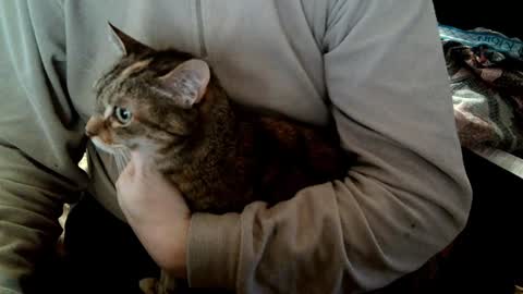 Fabius online show from February 5, 8:54 am