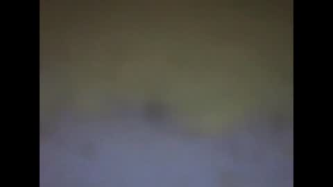 Snapshot of fafafa923 chatting on January 12, 11:15 pm fafafa923 online show from January 12, 11:15 pm