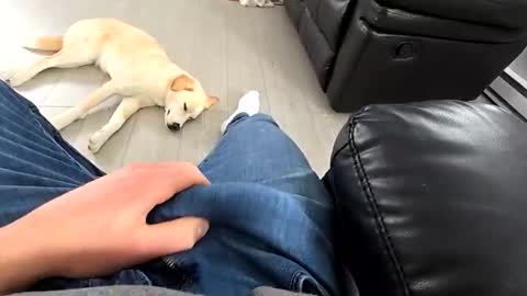 faker1414 online show from March 19, 3:50 pm