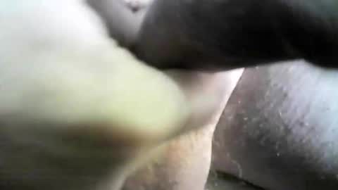 felicaste online show from October 11, 12:59 am