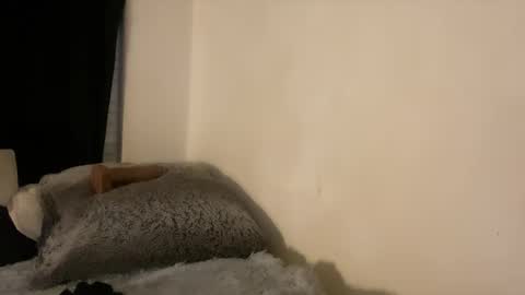 this is justice tricia a bigelow. she was fucking my husband tom girardi online show from February 3, 8:40 am