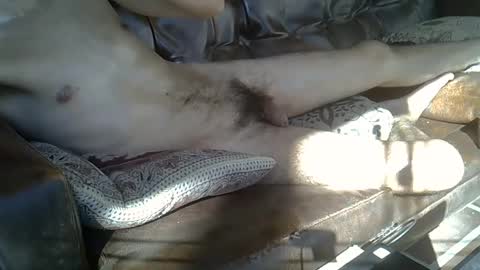 fenix7477 online show from February 3, 12:47 pm