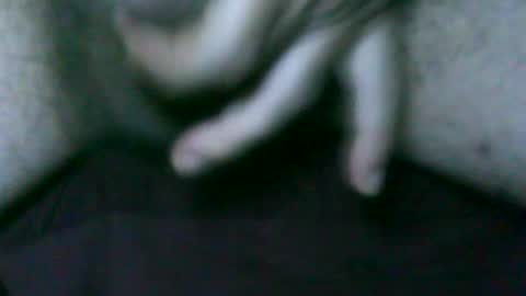 fer_2197 online show from August 3, 3:18 pm
