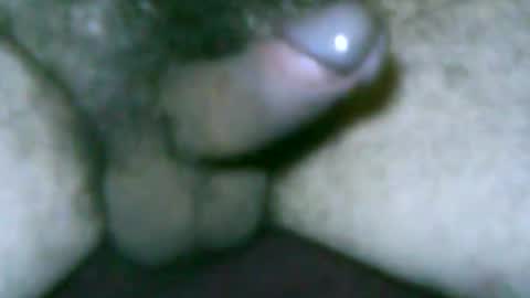 fer_2197 online show from March 3, 1:40 pm