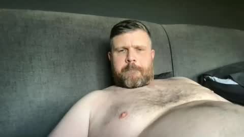 fin bear dom online show from May 9, 12:11 pm