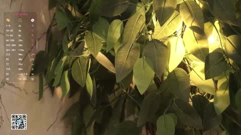 Emily online show from April 13, 7:56 am