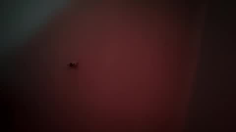 flipssixty9 online show from March 29, 1:29 am