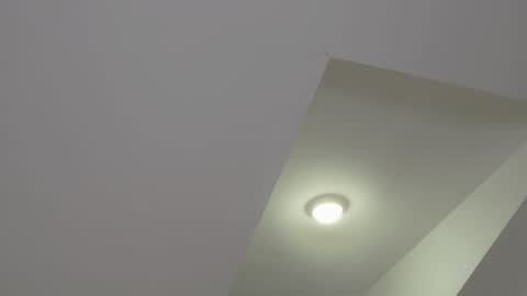 ALICE online show from January 20, 8:50 pm