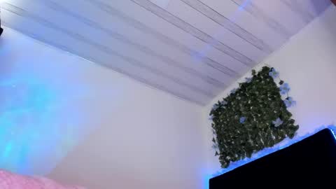 Snapshot of flylia_ chatting on February 17, 6:17 pm lia online show from February 17, 6:17 pm