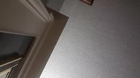 Have fun remembering u online show from October 2, 2:21 am