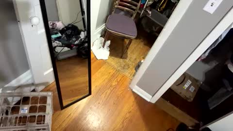 foxy7474 online show from November 23, 7:17 am