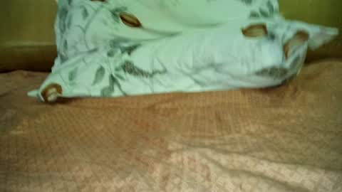 franky_tony online show from June 24, 5:14 am