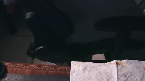 freetryal online show from November 21, 2:20 am