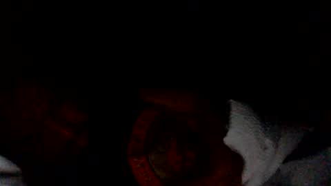 friskyfun123 online show from February 26, 5:24 am