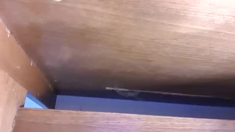 Demian online show from April 23, 5:48 am