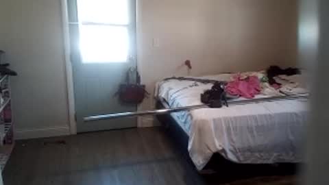 fuckroundfindout513116 online show from January 29, 5:35 pm