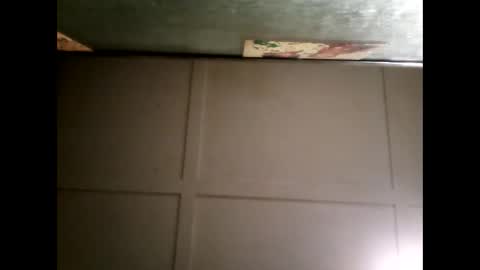 Warwick online show from March 12, 11:20 am