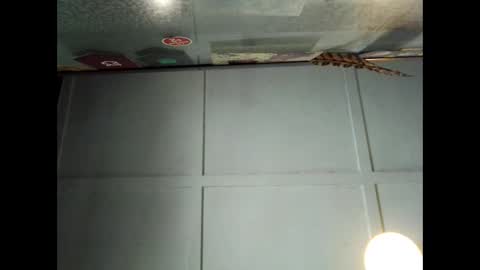 Warwick online show from September 29, 1:04 am