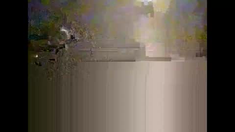 Warwick online show from January 17, 9:30 am