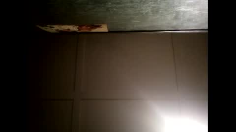 Warwick online show from February 20, 11:31 am