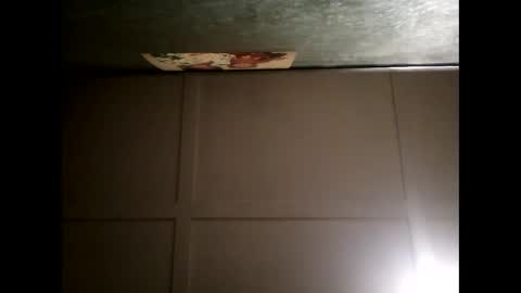 Warwick online show from February 28, 1:03 pm