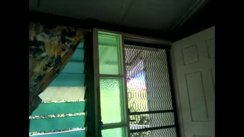 Warwick online show from February 17, 3:25 am