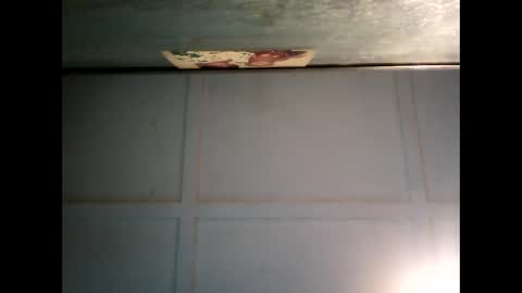 Warwick online show from February 24, 7:33 am