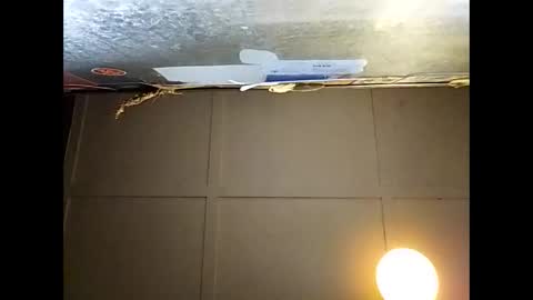 Warwick online show from November 29, 9:28 am